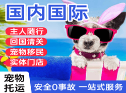 长安空运地址国际宠物托运 【国